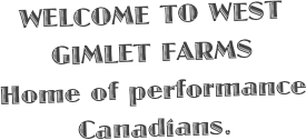 WELCOME TO WEST GIMLET FARMS
Home of performance Canadians. 